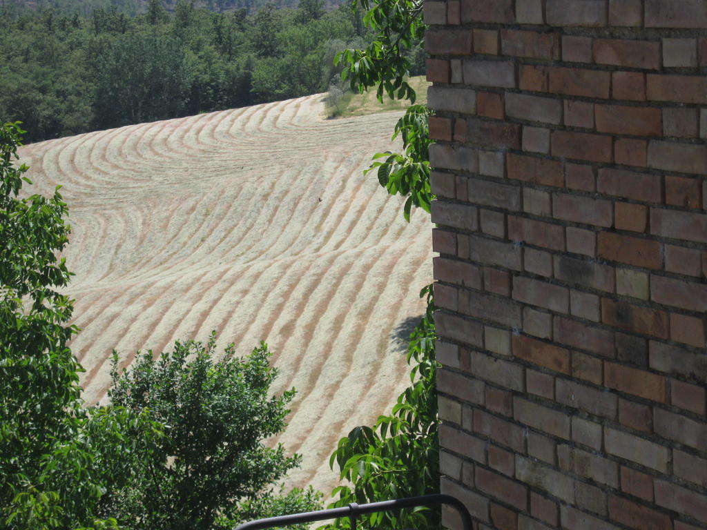 Agriturismo Santa Maria Torrita di Siena Exterior foto