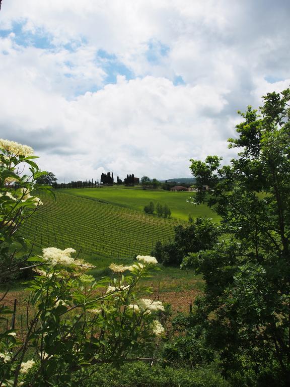 Agriturismo Santa Maria Torrita di Siena Exterior foto