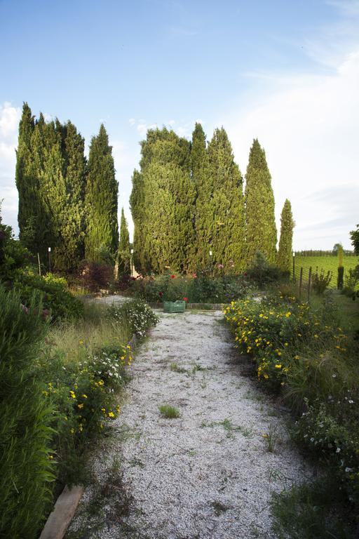 Agriturismo Santa Maria Torrita di Siena Exterior foto